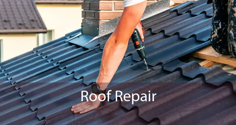 Roof Repair 