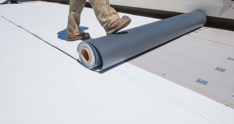 Thermoplastic Polyolefin Roofing Arcadia